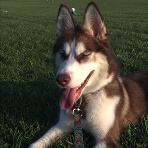 Meet your Posher, Kristen